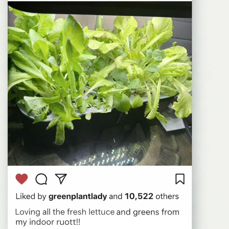 ruott 2.0 Indoor garden
