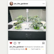 ruott 2.0 Indoor garden