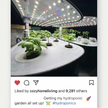 ruott 2.0 Indoor garden